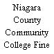 Niagara County Community College Fine Arts Theatre