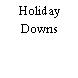 Holiday Downs