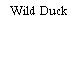 Wild Duck
