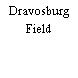 Dravosburg Field