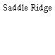 Saddle Ridge