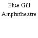 Blue Gill Amphitheatre